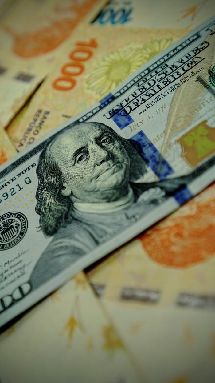 Services Detailed image of U.S. dollar and Argentine pesos banknotes highlighting currency exchange.